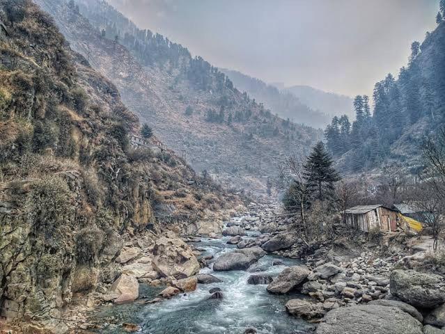 Mystic Forest View Kasauli I Serviced Villa I Best Seller I Vacations I Family Events I Open Air Lawn I Sky Bonfire I Kasauli By Exotic Stays Exteriér fotografie